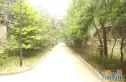 红光一区实景图