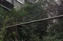 红光一区实景图