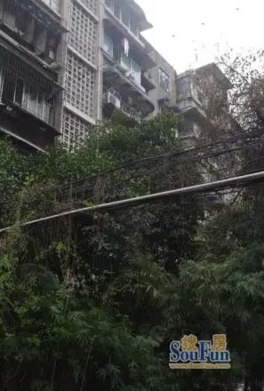 红光一区实景图