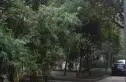红光一区实景图