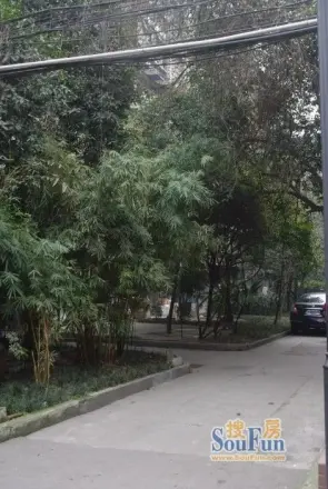 红光一区实景图