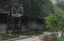 红光一区实景图