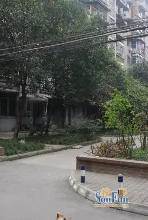 红光一区实景图