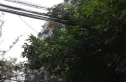 红光一区实景图