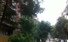 秀水园 1室1厅 东南