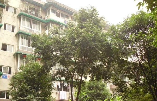 群和街3号院实景图
