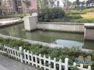 德商金沙十年3室2厅南