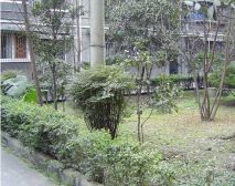 文化路2室1厅东南