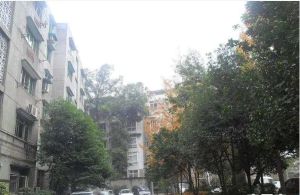杏林苑3室2厅西北