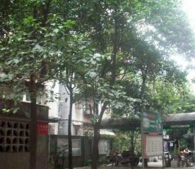 营和街9号 3室2厅 南