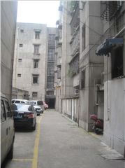 丰收家园 3室2厅 西