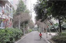 泰基花语廊3室1厅西北