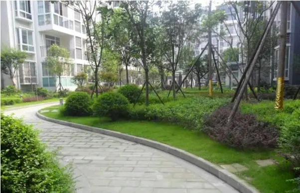 德坤恬园实景图