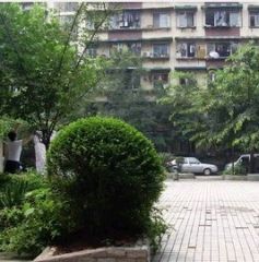 长城馨苑(武侯)2室1厅东北东北