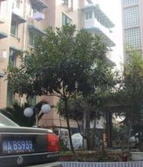 富民小区2室2厅北