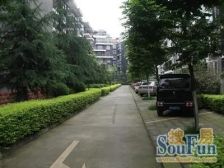 紫藤居1室1厅东南
