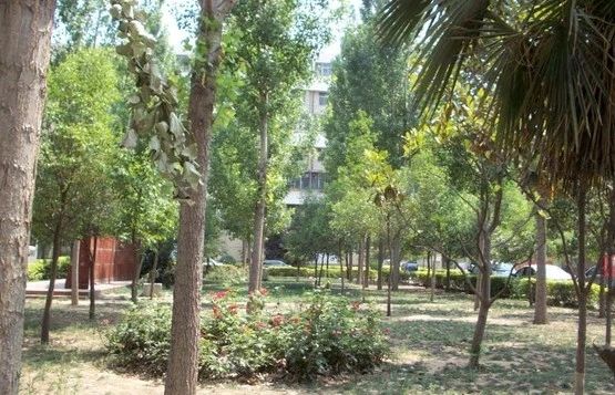 兴达公寓实景图