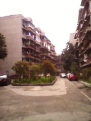 金河城小区 3室2厅 北 南