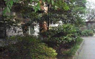 千禧华庭实景图