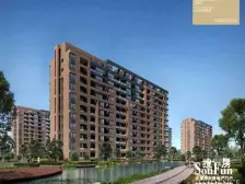 棕榈湾纯毛坯,楼层好,采光佳,可按照自己的风格装修