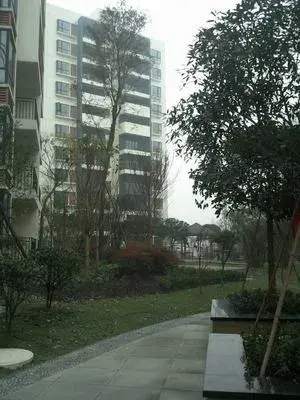碧林香堤实景图