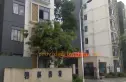 碧林香堤实景图