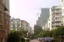 碧林香堤实景图