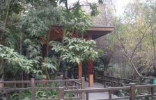 西区花园水云庭 3室1厅 西南