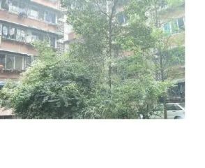 金城小区5室1厅南