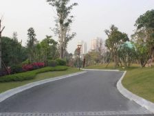 保利香槟国际 1室1厅 西南