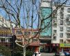 墅林苑实景图