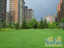 紫金家园北区 1室1厅 南 北