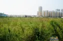 观海澜庭小区实景图