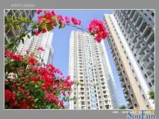 视野开阔,全明格局,采光通风佳,看海