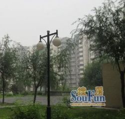 泰丰佳寓3室1厅东