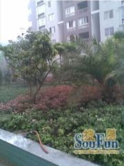 津都花城 3室2厅 东