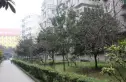 九如村30号院实景图