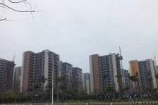 阳光城新界1室1厅北