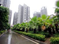 和谐广场[耒阳]