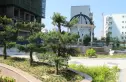 东方之珠花园实景图
