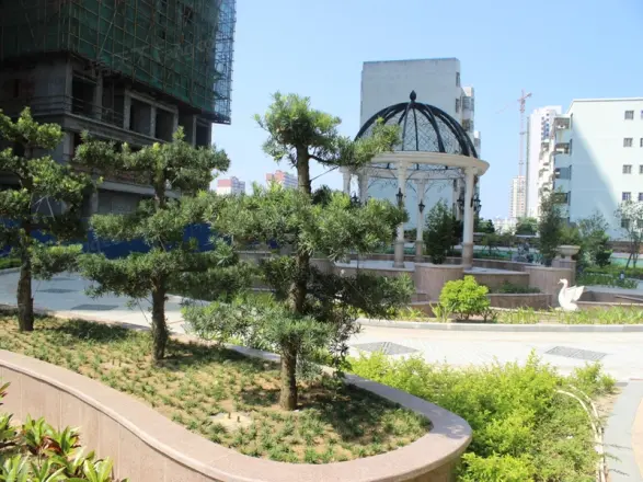 东方之珠花园实景图