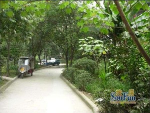 交大花园南苑2室1厅东南