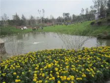 林隐天下好房出售,看房方便!!