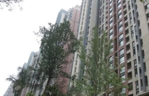 华润二十四城四期3室2厅东北