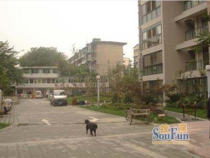水映兰庭3室2厅南