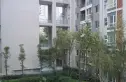 香洲半岛别墅实景图
