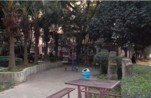 鸿生花园2室1厅西南