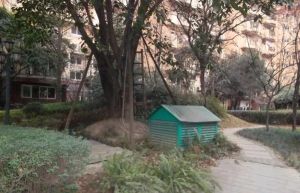 鸿生花园 3室2厅 南