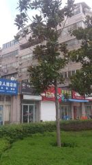 翠园花苑 3室2厅 南