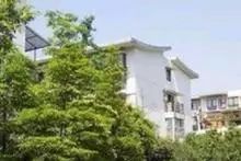 聚艺36墅实景图